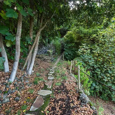 Tatil Evi Finca El Molledo Icod De Los Vinos